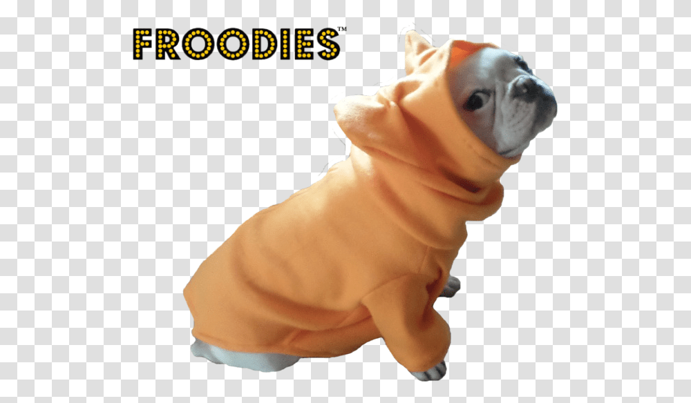 French Bulldog In A Jacket, Pet, Canine, Animal, Mammal Transparent Png