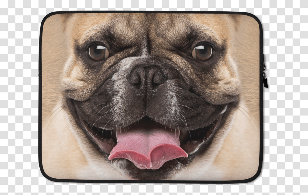 French Bulldog Laptop Sleeve Mat, Pet, Canine, Animal, Mammal Transparent Png