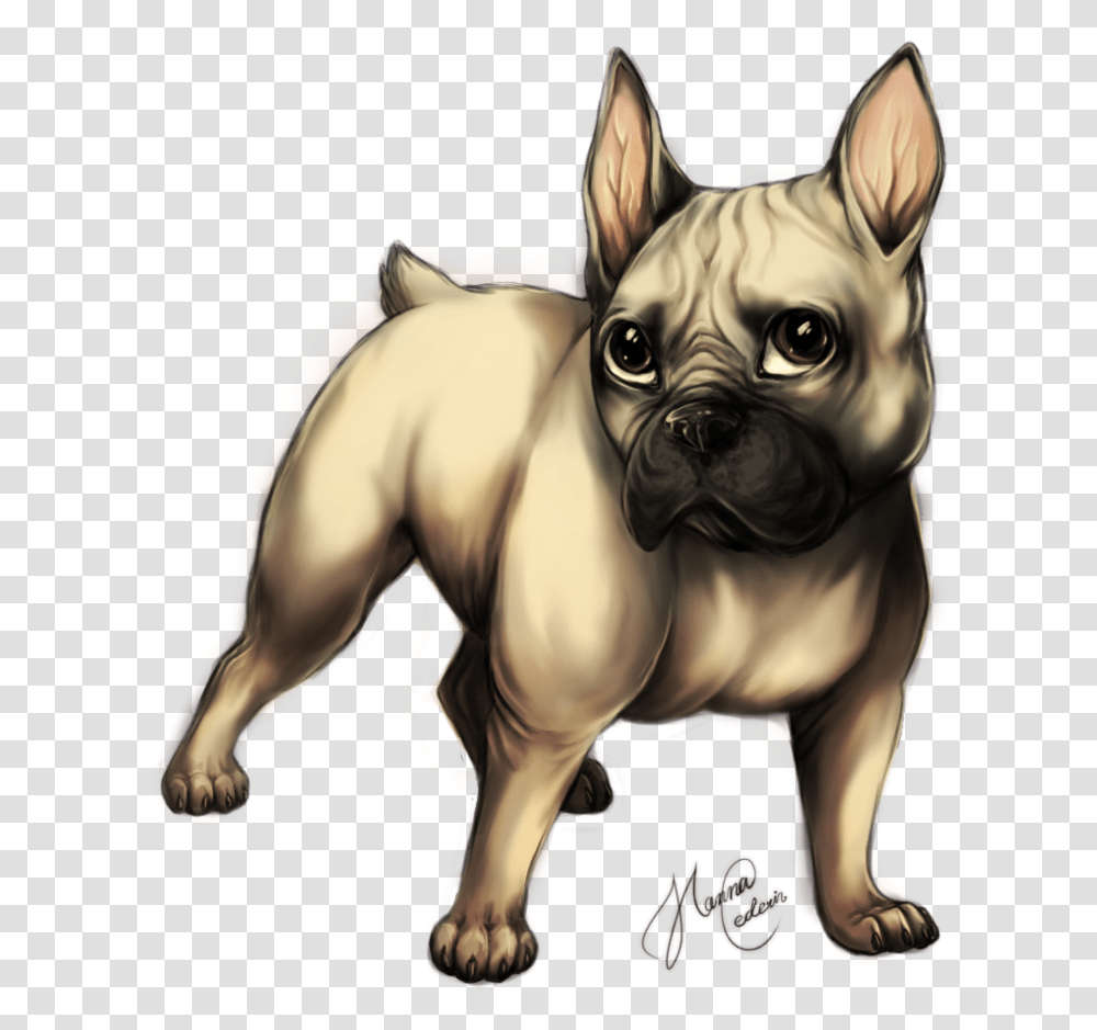 French Bulldog, Mammal, Animal, Horse, Pet Transparent Png