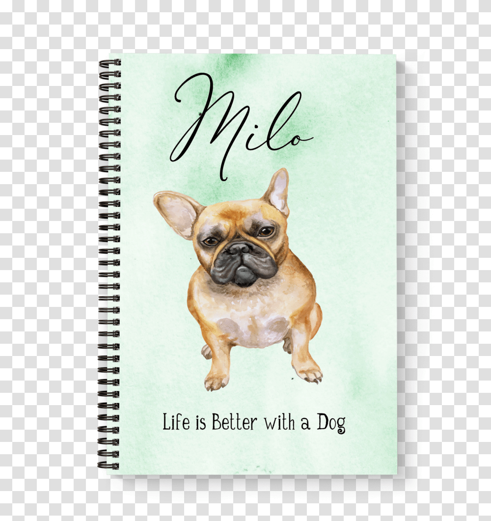 French Bulldog, Pet, Canine, Animal, Mammal Transparent Png