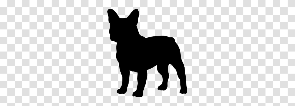 French Bulldog Puppies For Sale, Silhouette, Mammal, Animal, Coyote Transparent Png