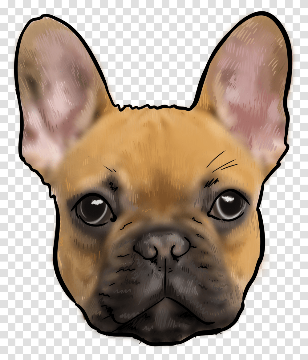 French Bulldog Transparent Png