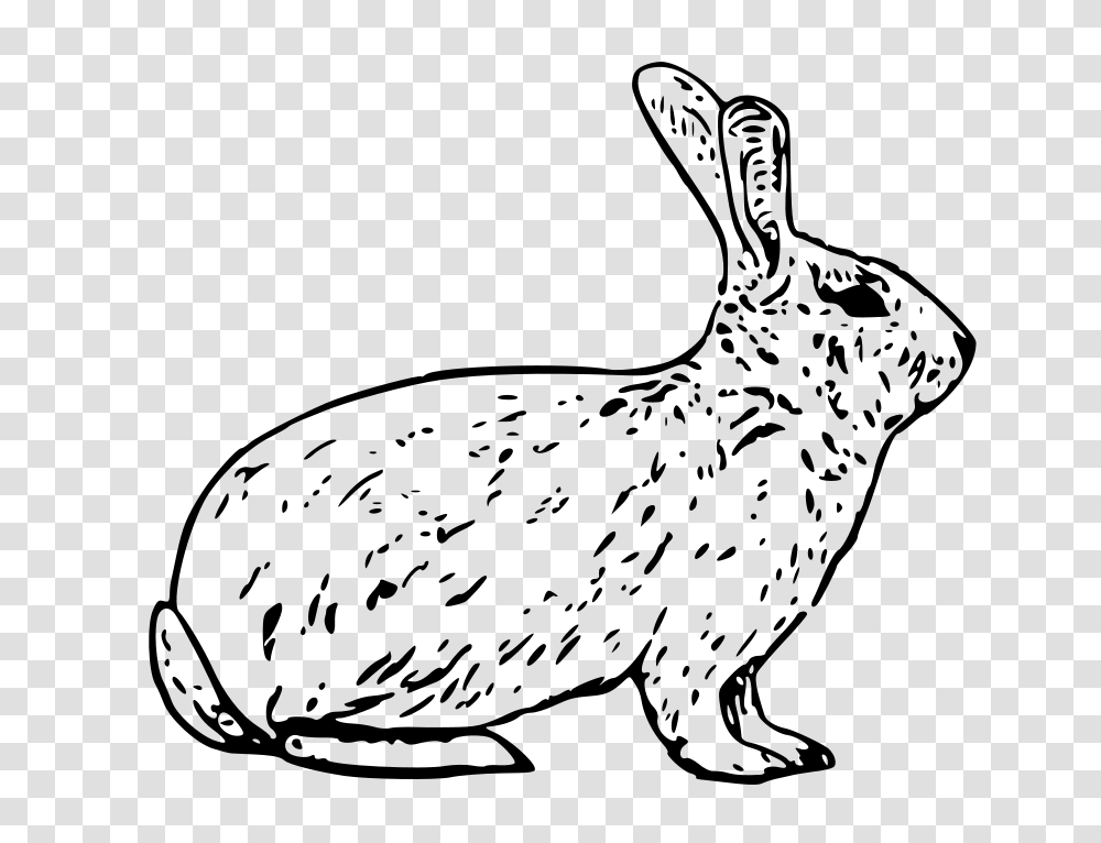 French Rabbit, Animals, Gray, World Of Warcraft Transparent Png