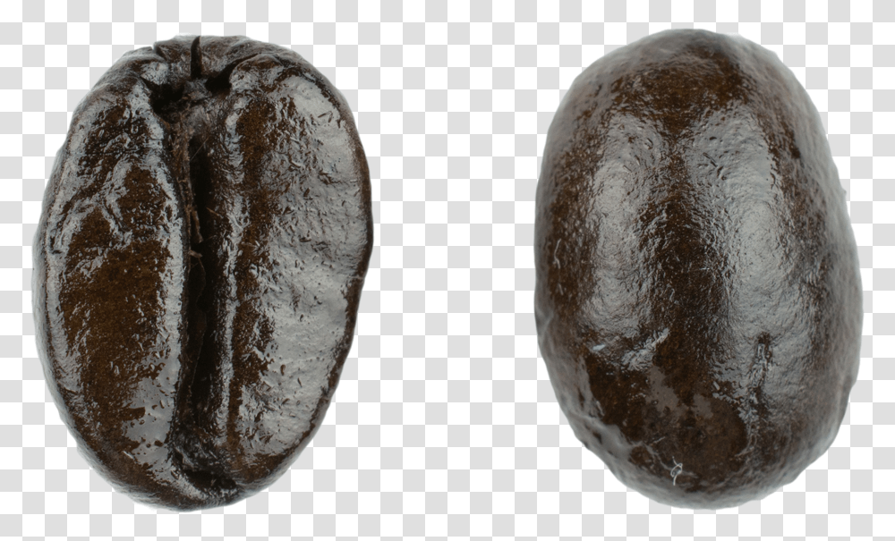 French Roast Macro Date Palm, Bread, Food, Plant Transparent Png