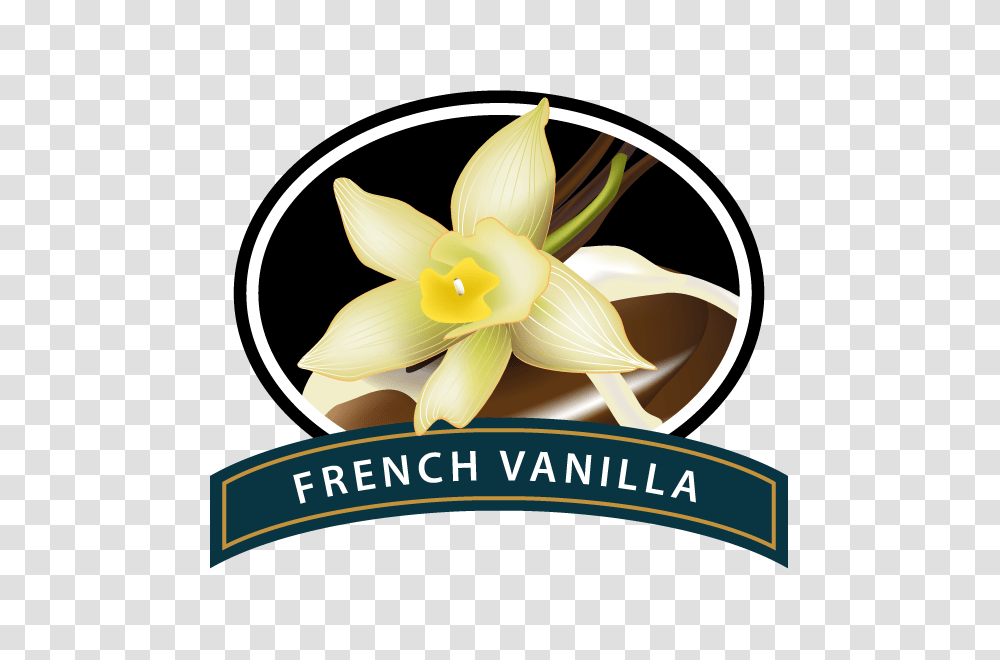 French Vanilla Coffee, Plant, Flower, Advertisement, Poster Transparent Png