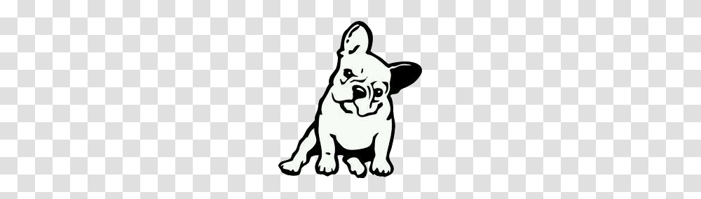 Frenchbulldog Frenchi, Pet, Canine, Animal, Mammal Transparent Png