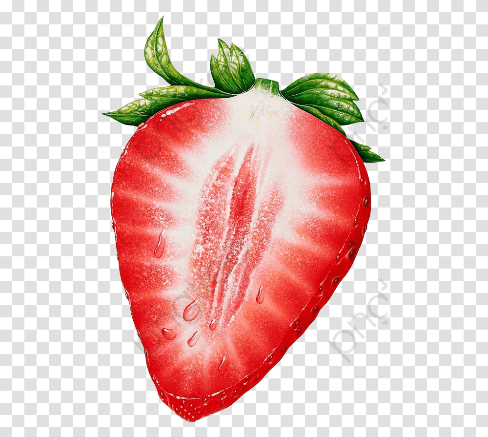 Fresa Cortada Por La Mitad Cartoons Cut In Half Strawberry, Fruit, Plant, Food, Sliced Transparent Png