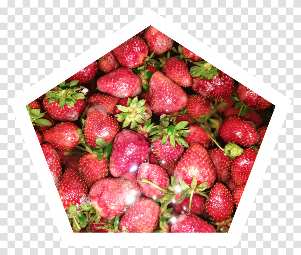 Fresa Sticker Strawberry Strawberry, Fruit, Plant, Food Transparent Png
