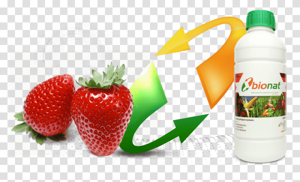 Fresa, Strawberry, Fruit, Plant, Food Transparent Png