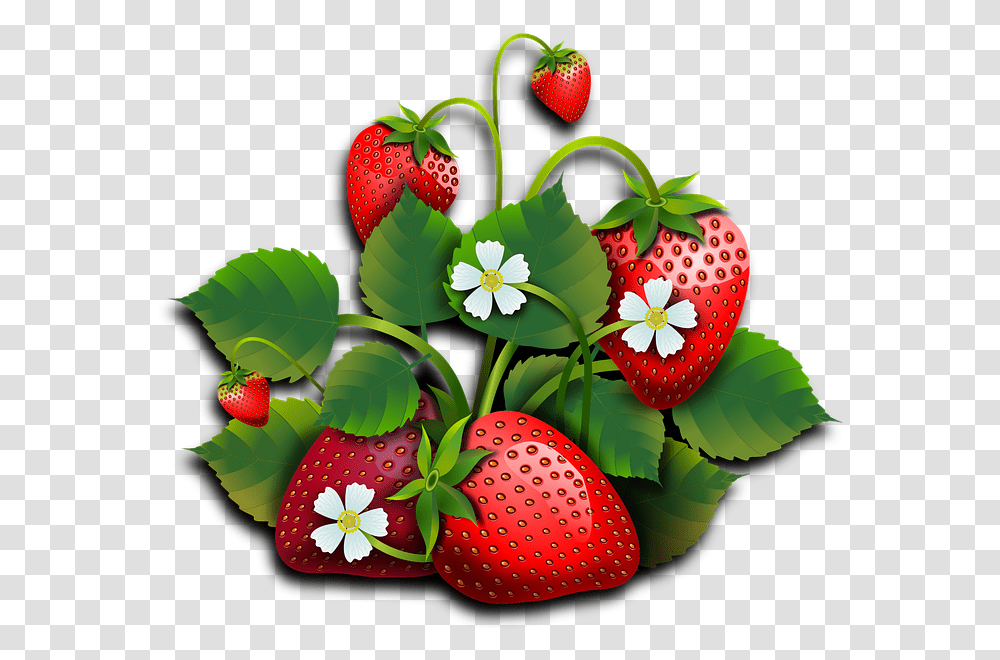 Fresas Dibujo Frutos Rojos, Strawberry, Fruit, Plant, Food Transparent Png