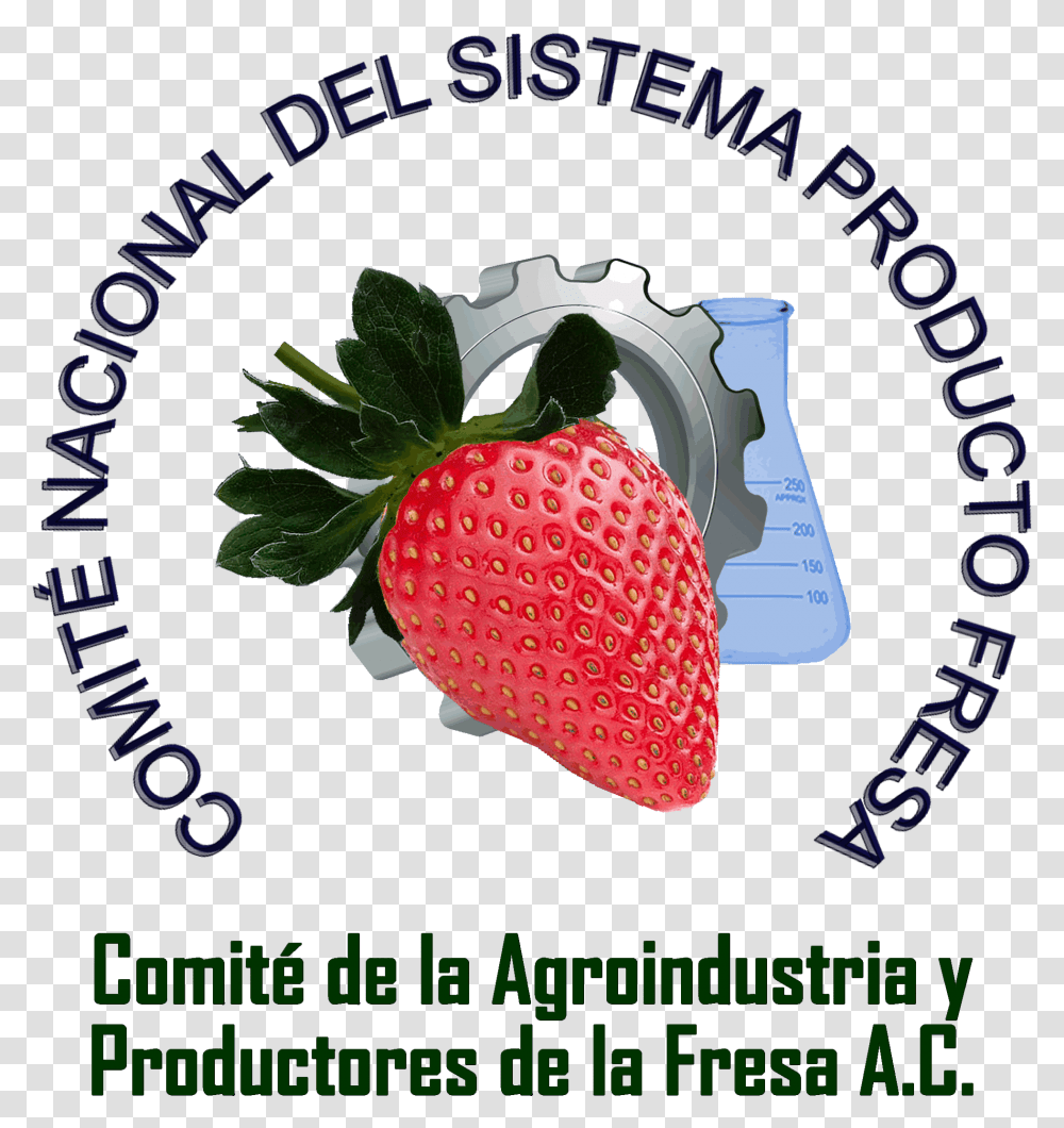 Fresas Strawberry, Fruit, Plant, Food, Poster Transparent Png