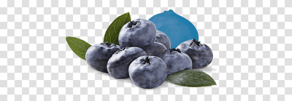 Fresh Berries Driscoll's Bilberry, Plant, Blueberry, Fruit, Food Transparent Png
