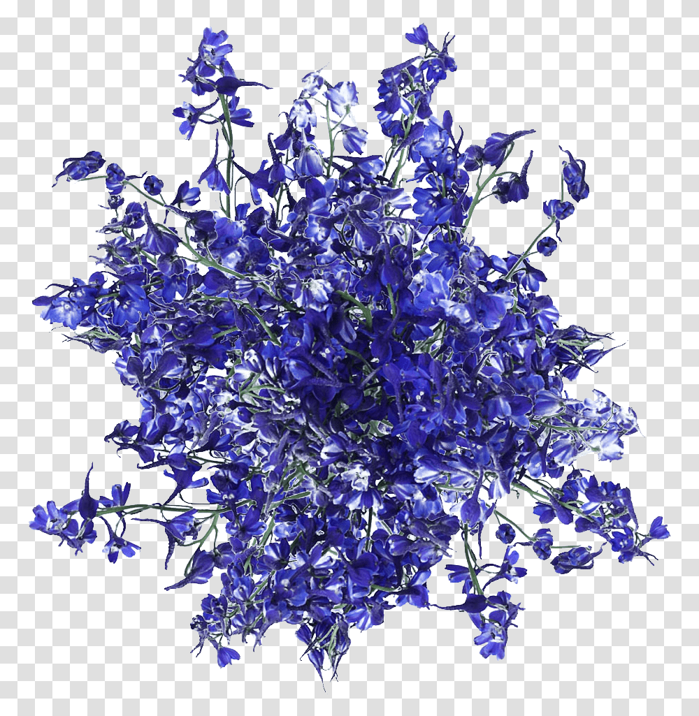 Fresh Blue Volken Delphinium Flowers Artificial Flower, Crystal, Mineral, Pattern, Plant Transparent Png