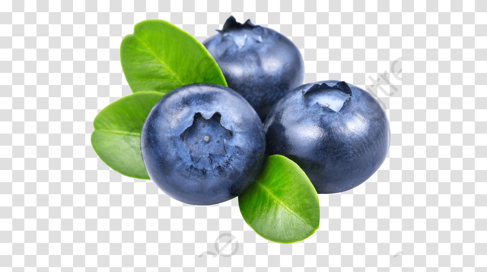 Fresh Blueberries Format Image With Blueberries, Blueberry, Fruit, Plant, Food Transparent Png