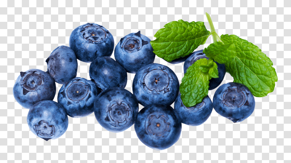 Fresh Blueberry Image, Fruit, Plant, Food, Pineapple Transparent Png