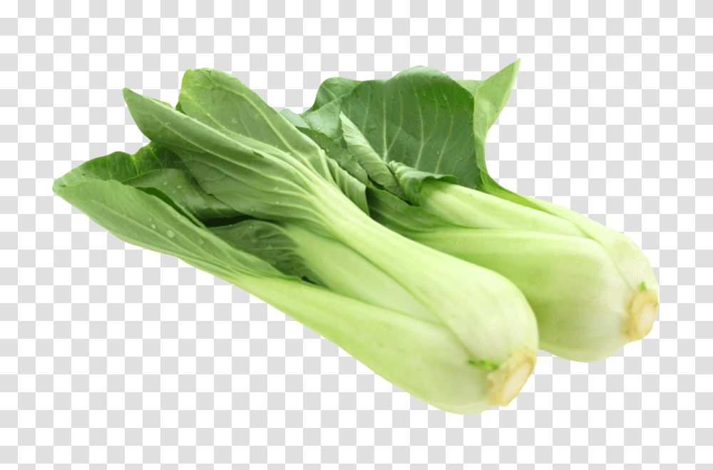 Fresh Bok Choy Image, Vegetable, Plant, Produce, Food Transparent Png