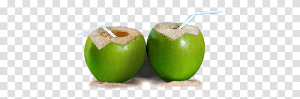 Fresh Buko Coconut Water Image, Tennis Ball, Sport, Sports, Plant Transparent Png