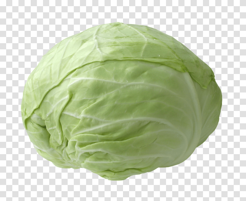 Fresh Cabbage Image, Vegetable, Plant, Food, Head Cabbage Transparent Png