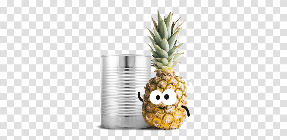 Fresh Canned Pineapples Pineapple With White Background Pineapple Hd, Fruit, Plant, Food, Canned Goods Transparent Png