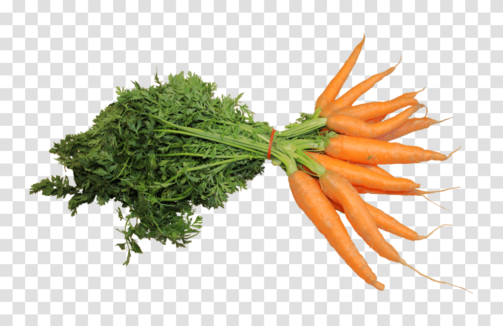 Fresh Carrot Image, Vegetable, Plant, Food, Root Transparent Png
