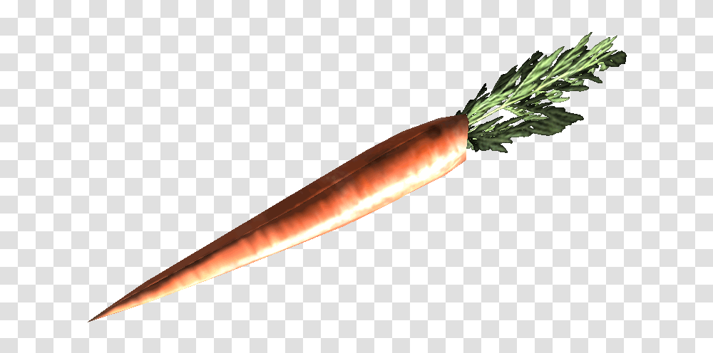 Fresh Carrot, Plant, Vegetable, Food, Weapon Transparent Png