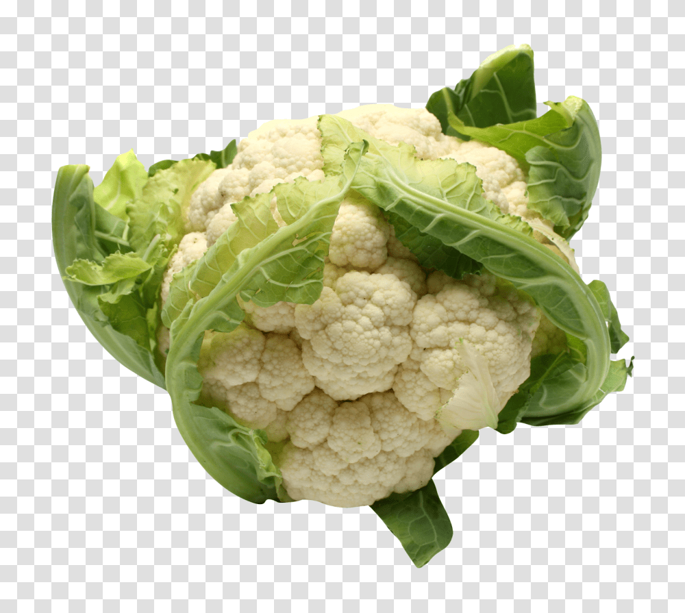 Fresh Cauliflower Image, Vegetable, Plant, Food Transparent Png