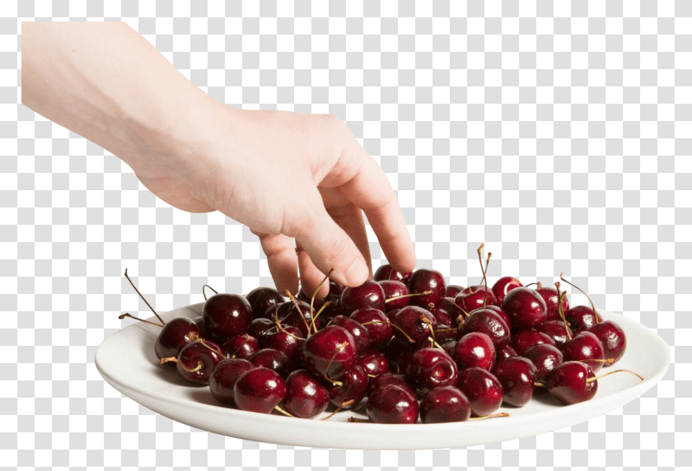 Fresh Cherries Background Cherry, Plant, Person, Human, Fruit Transparent Png