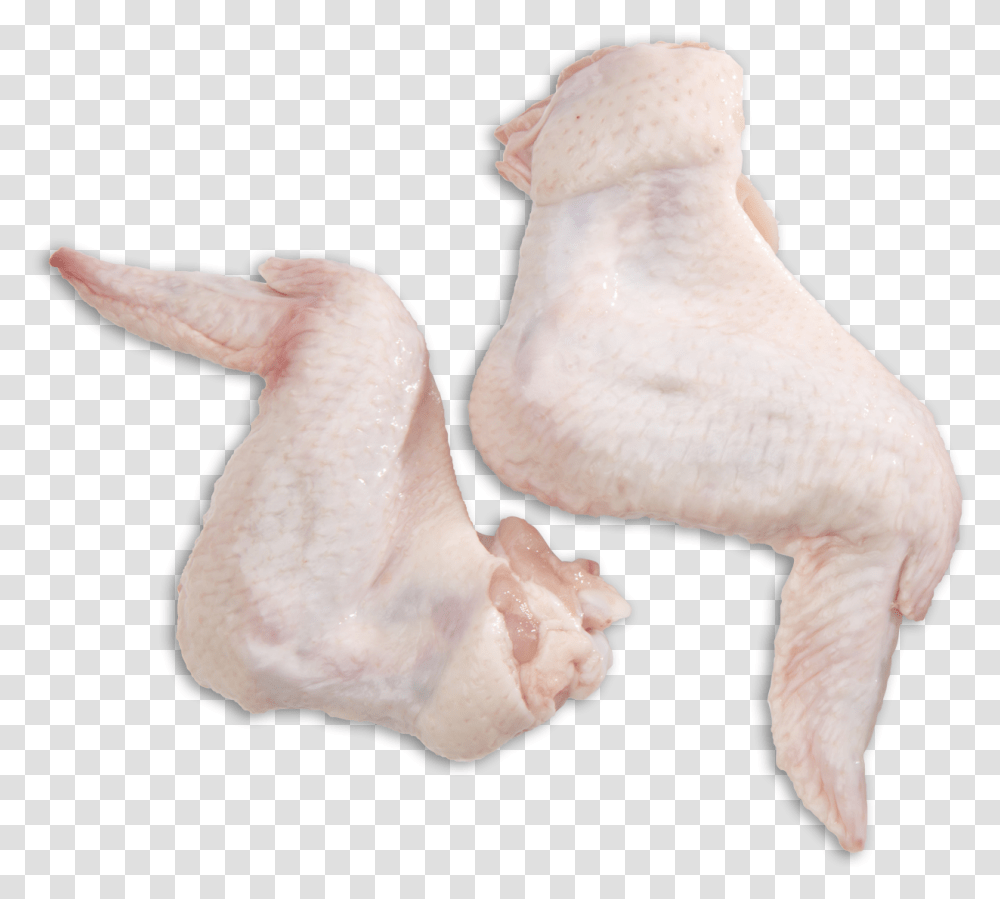 Fresh Chicken Wings, Bird, Animal, Sea Life, Poultry Transparent Png