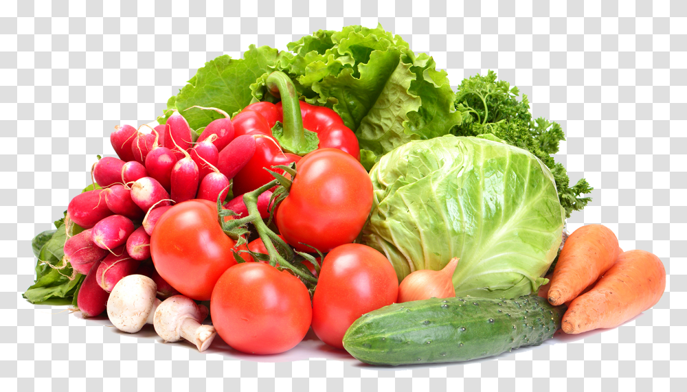 Fresh Clipart Happy World Vegetarian Day 2019, Plant, Vegetable, Food, Cabbage Transparent Png