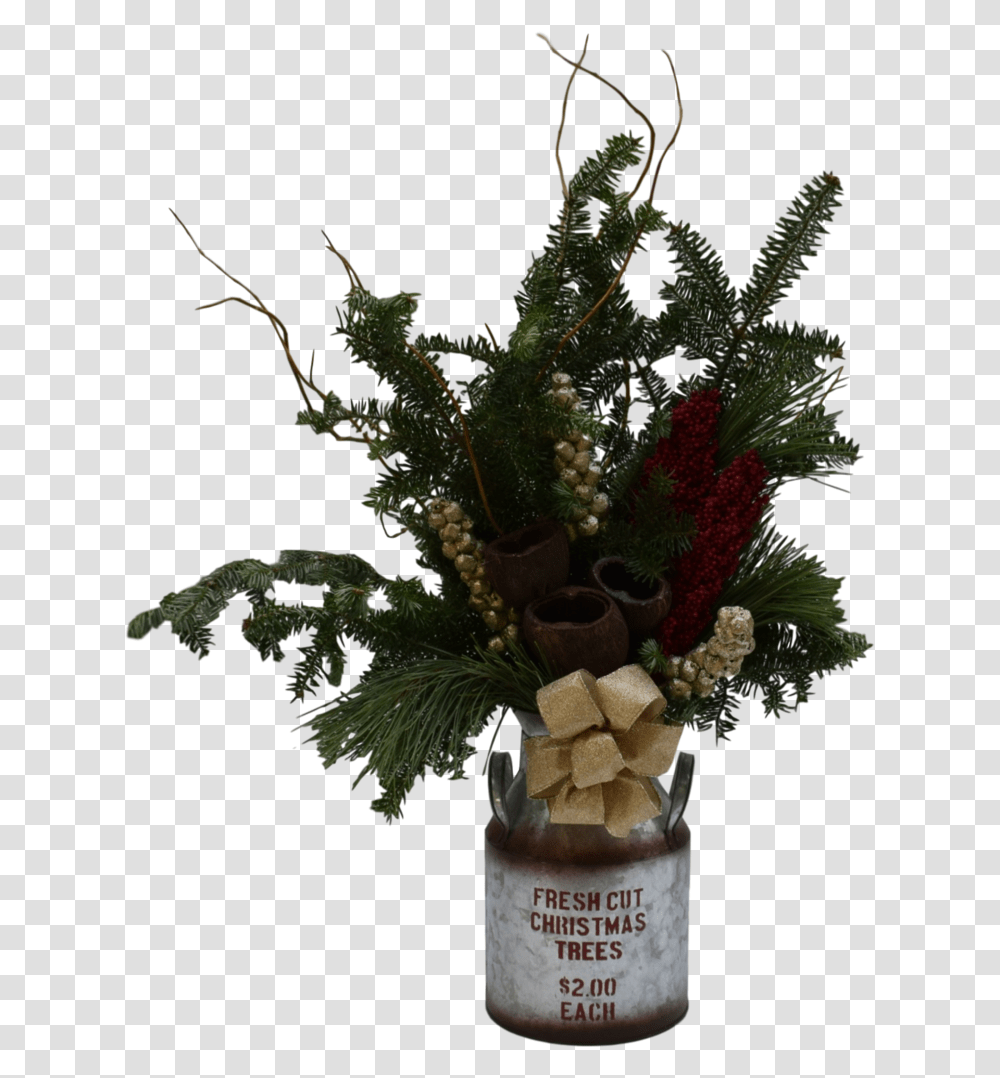 Fresh Cut Christmas Trees, Ikebana, Vase, Ornament Transparent Png
