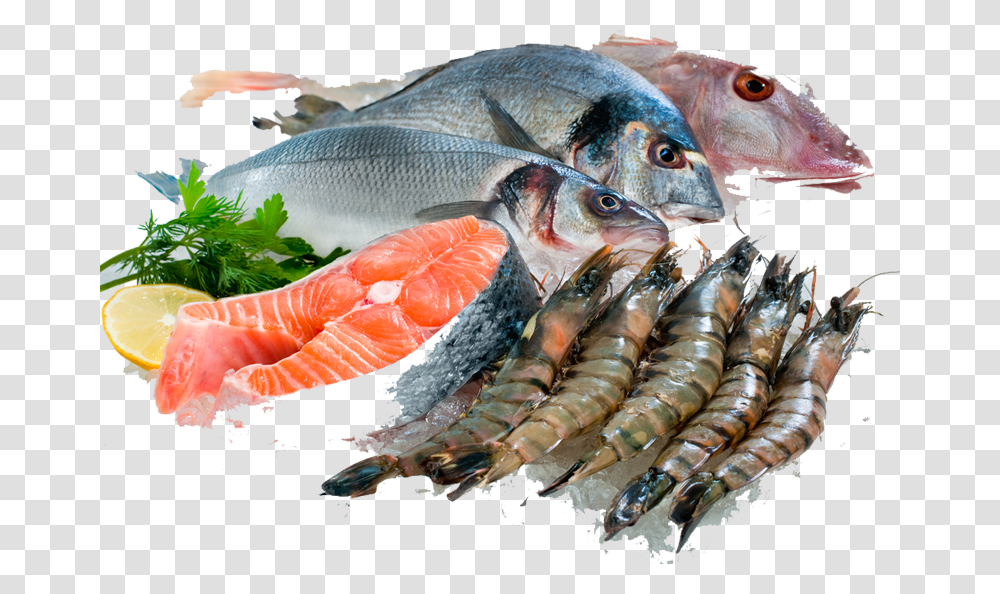 Fresh Fish Sea Fish For Eating, Animal, Food, Seafood, Sea Life Transparent Png