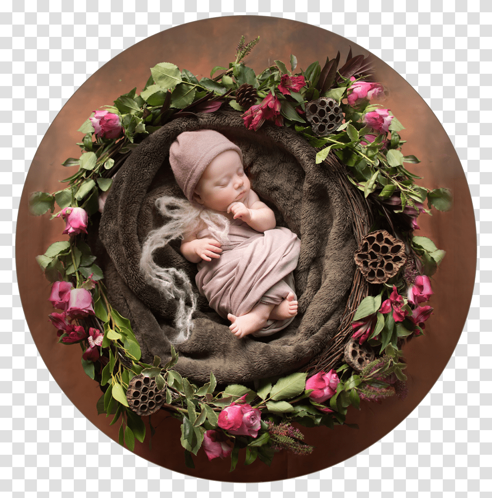 Fresh Flowers Baby Photography Transparent Png