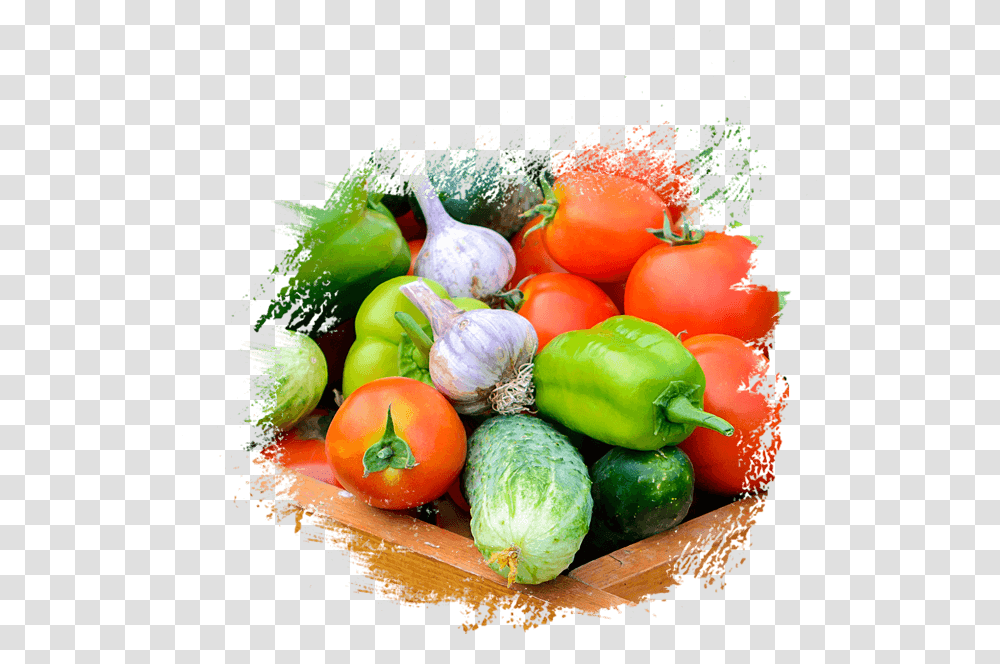 Fresh Fruit Amp Vegetables Supplier Distributors In Fresh Vegetables Pics, Plant, Food, Pepper, Bell Pepper Transparent Png