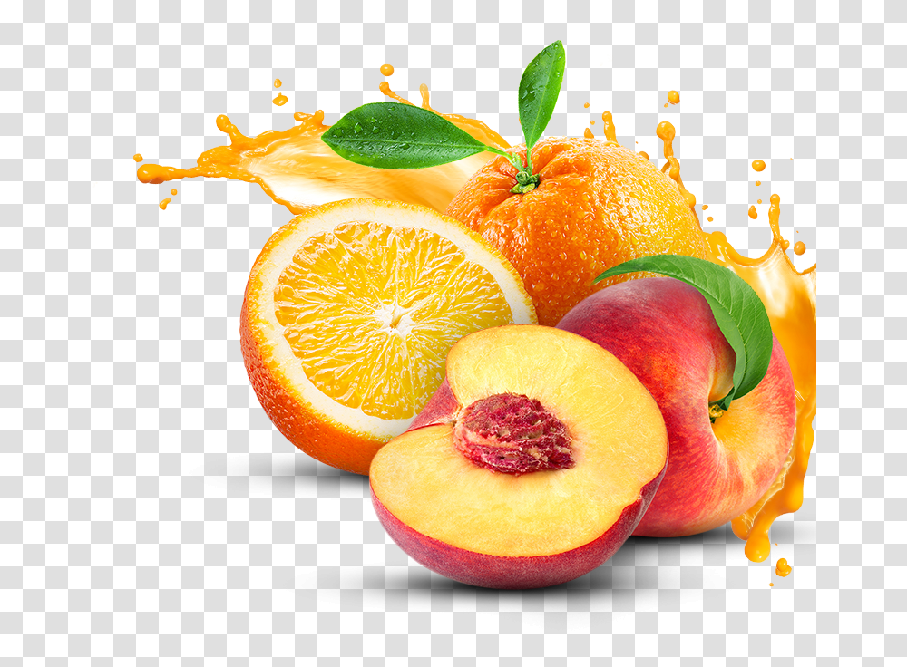 Fresh Fruit Juice, Plant, Orange, Citrus Fruit, Food Transparent Png