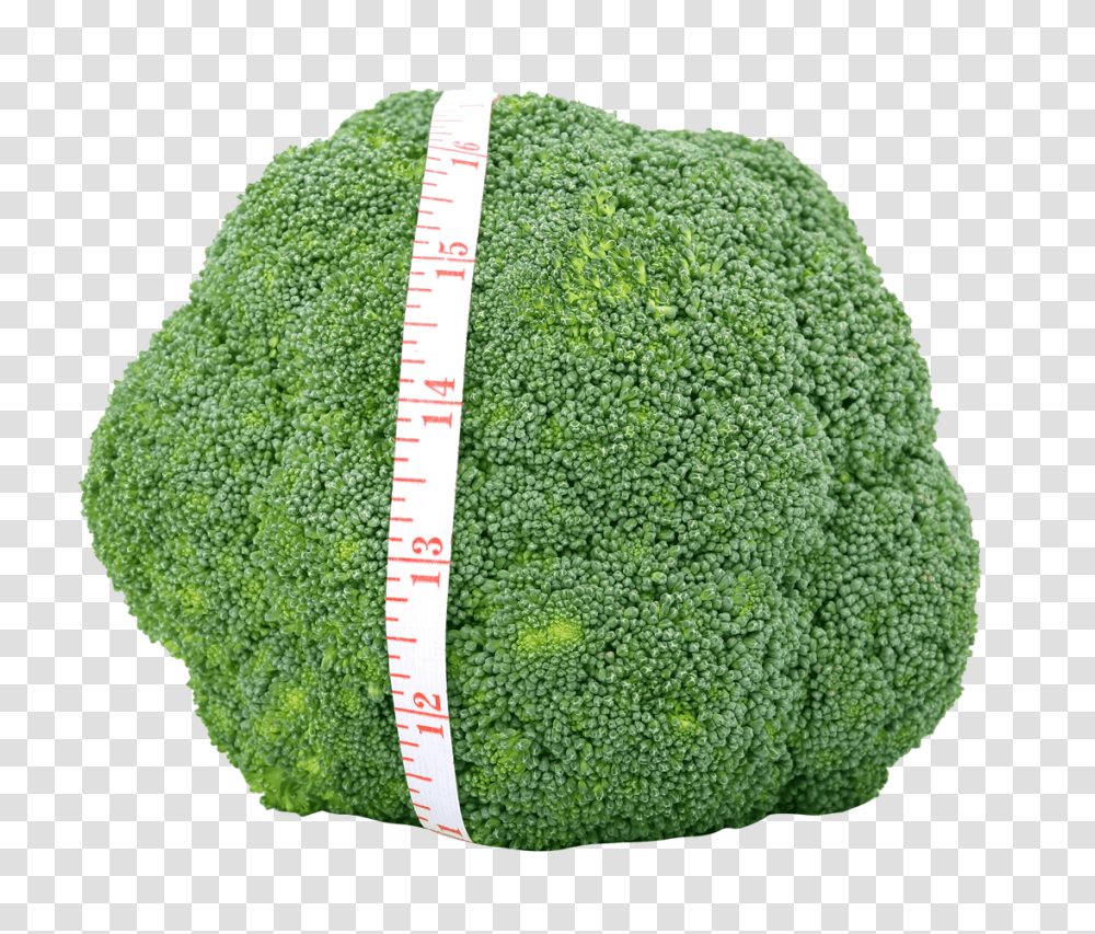 Fresh Green Broccoli Image, Vegetable, Plant, Food, Rug Transparent Png