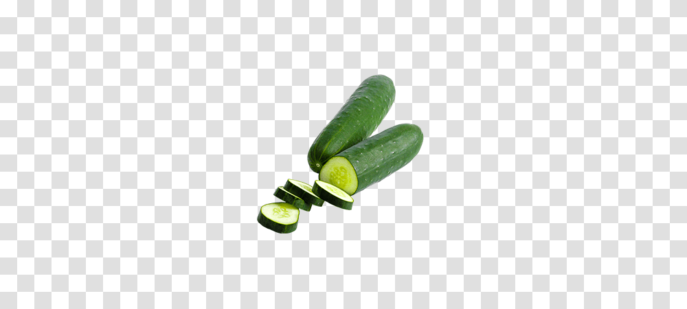 Fresh Grown Green Cucumber Suppliers Wholesalers Hydro Produce, Plant, Vegetable, Food Transparent Png