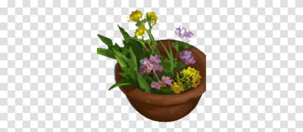 Fresh Herbs Flowerpot, Plant, Potted Plant, Vase, Jar Transparent Png