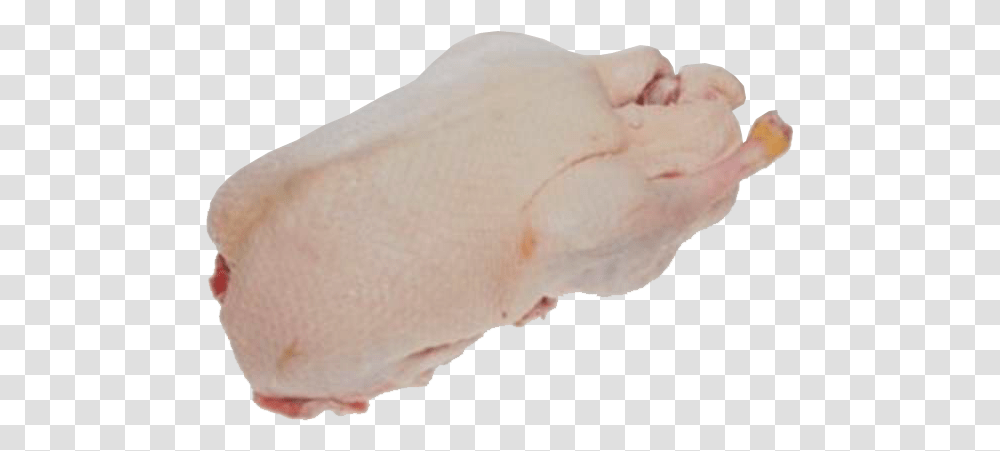Fresh Meat Duck, Heel, Hand, Person, Human Transparent Png