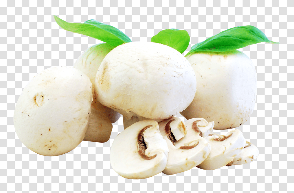 Fresh Mushrooms Image, Food, Plant, Egg, Cream Transparent Png