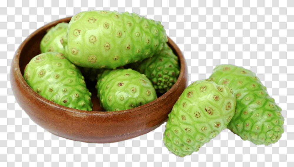 Fresh Noni Fruit Bhip Global Products Noni, Plant, Cactus, Food, Green Transparent Png