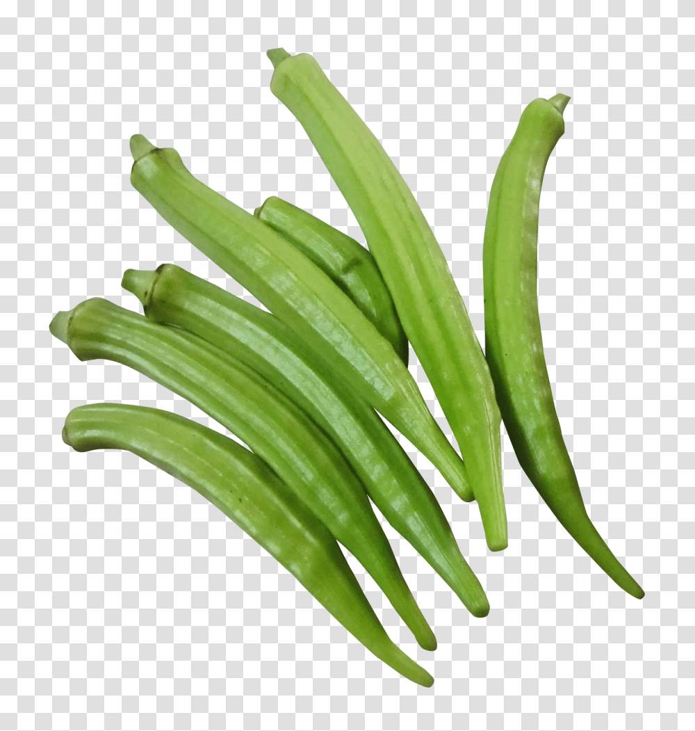 Fresh Okra Image, Vegetable, Plant, Produce, Food Transparent Png