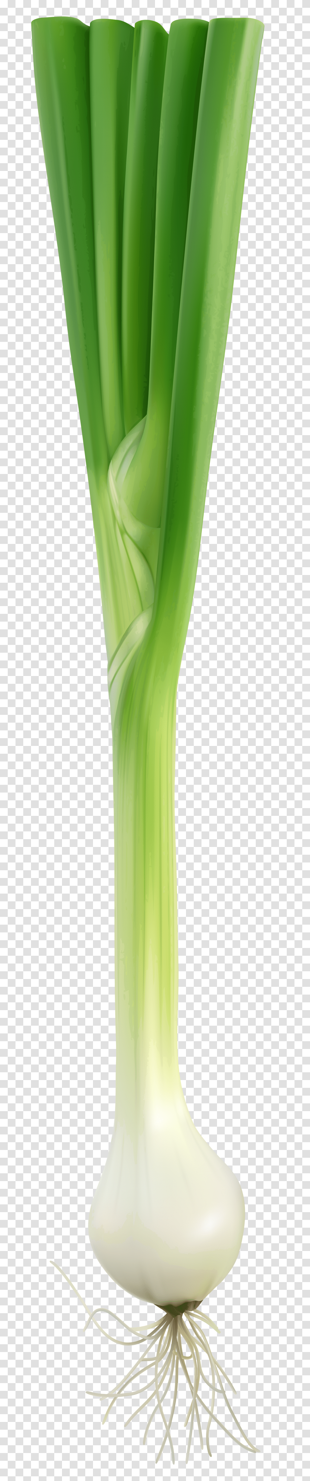 Fresh Onion Clip Art, Plant, Produce, Food, Leek Transparent Png
