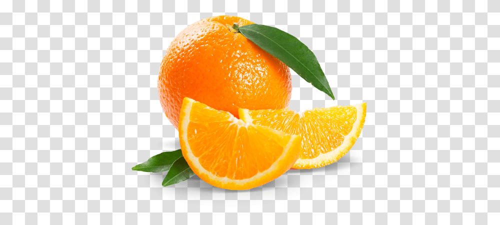 Fresh Orange, Plant, Citrus Fruit, Food Transparent Png