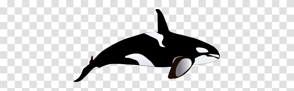 Fresh Orca Whale Clipart Orca Clip Art Clipart Best, Scissors, Pillow, Cushion Transparent Png