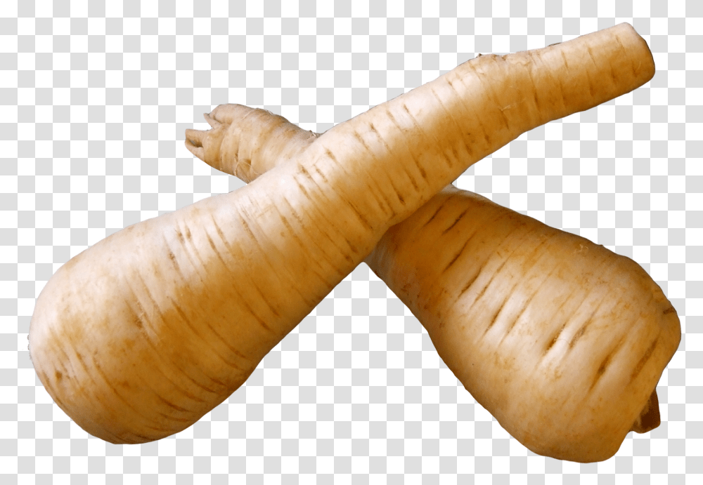 Fresh Parsnip Root Parsnip, Plant, Produce, Food, Vegetable Transparent Png