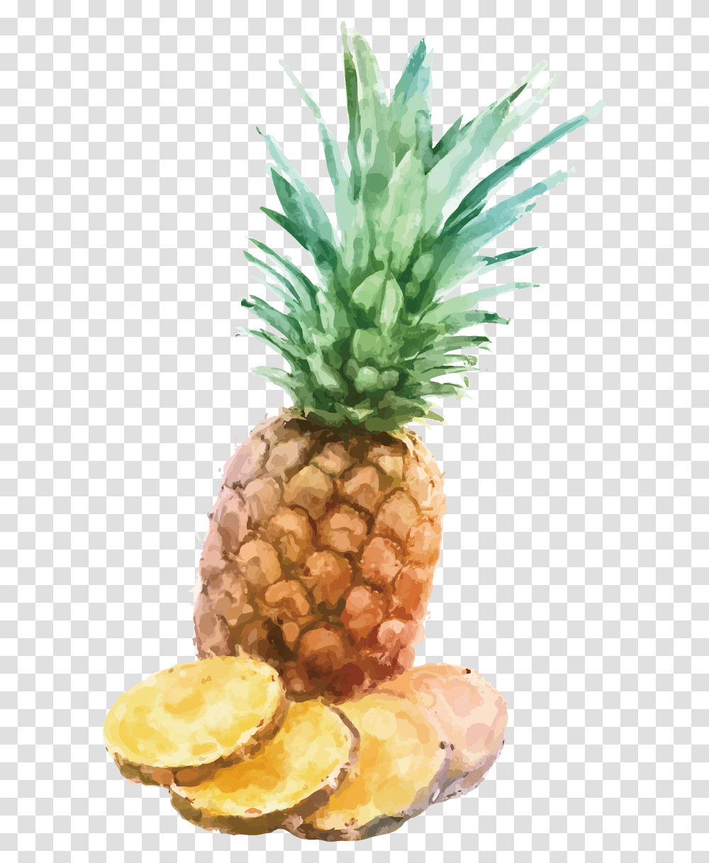 Fresh Pineapple Slices, Plant, Fruit, Food, Ice Cream Transparent Png