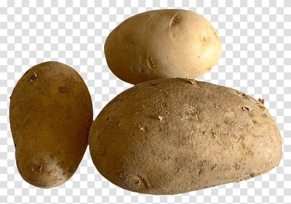Fresh Potato Potatoes Pumpkin Potato, Bread, Food, Bun, Plant Transparent Png