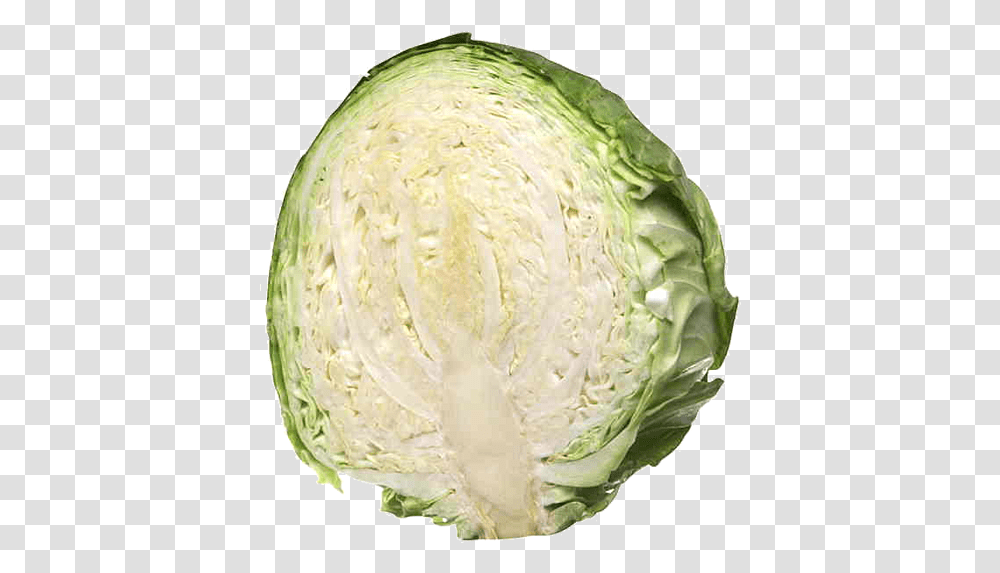 Fresh Produce Cabbage Green Each Half Cabbage, Plant, Food, Vegetable, Head Cabbage Transparent Png