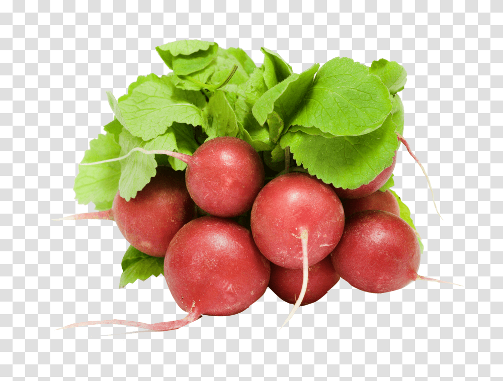 Fresh Radish Image, Vegetable, Plant, Food, Fruit Transparent Png