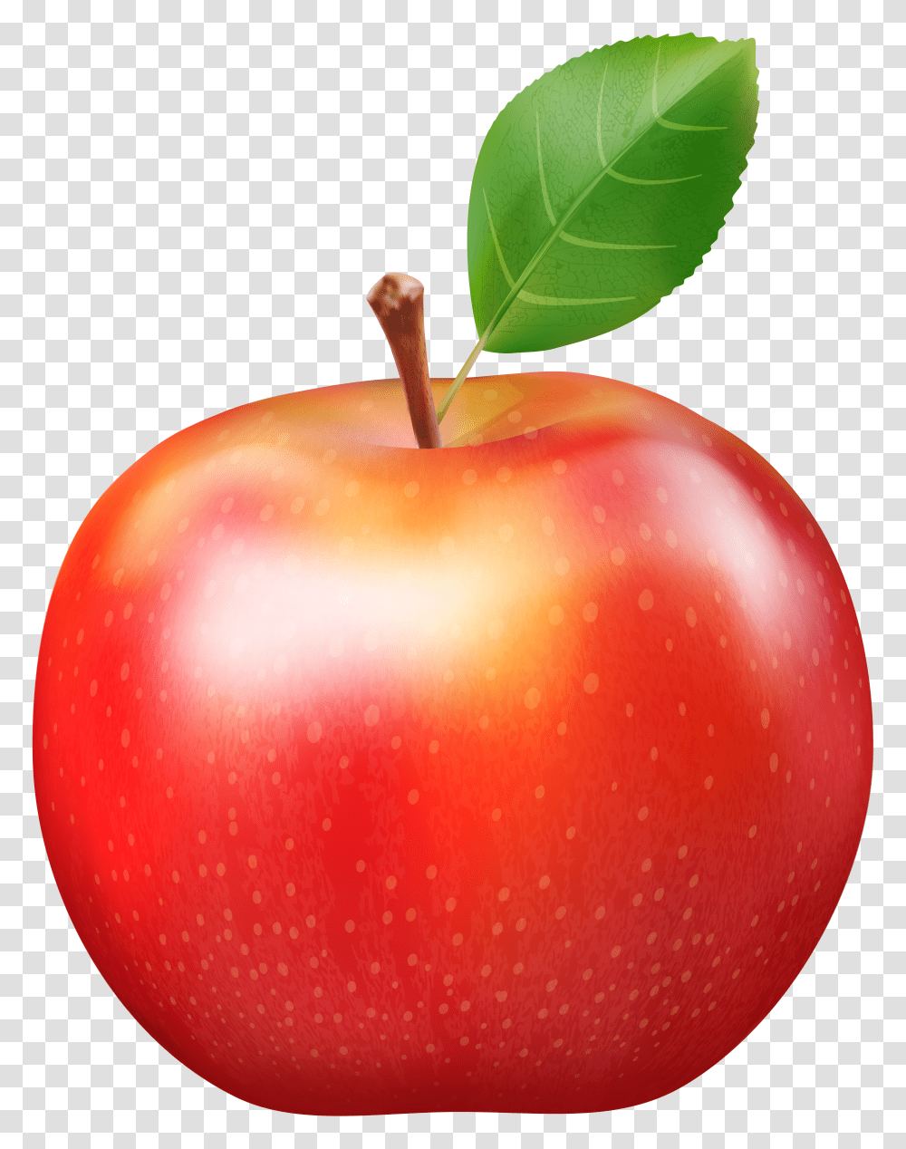 Fresh Red Apple Clip Art Transparent Png